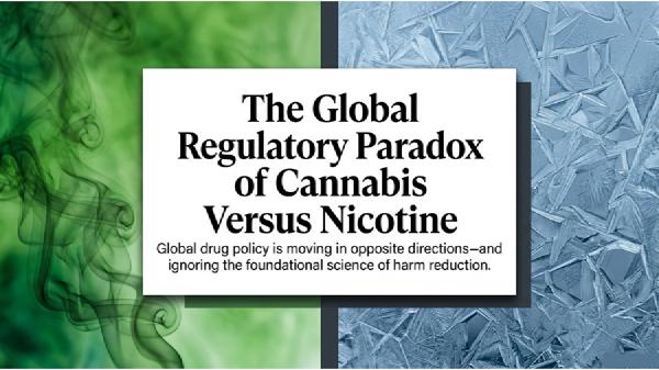 The Global Regulatory Paradox of Cannabis Versus Nicotine