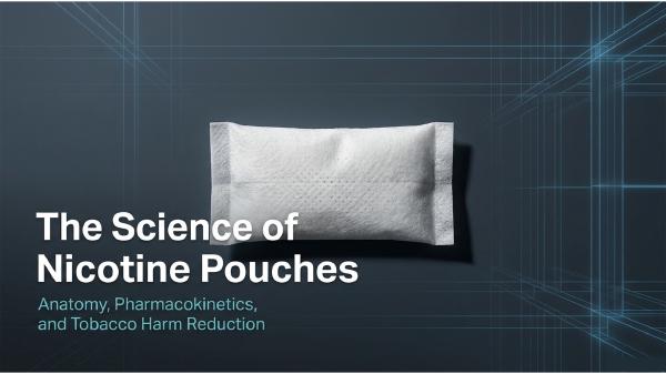 Nicotine pouches